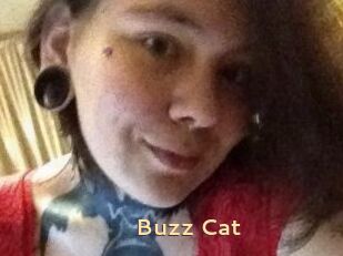 Buzz_Cat