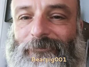 Bearpig001