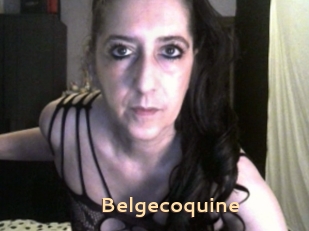 Belgecoquine