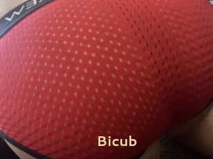 Bicub