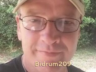 Bidrum209