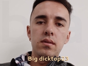 Big_dicktop23