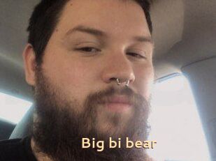 Big_bi_bear