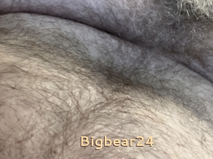 Bigbear24