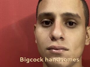 Bigcock_handsomes