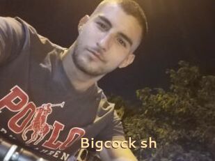 Bigcock_sh