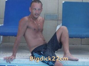 Bigdick22cm