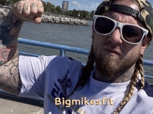 Bigmikesfit