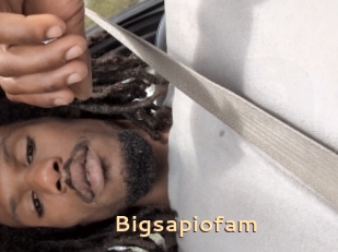 Bigsapiofam