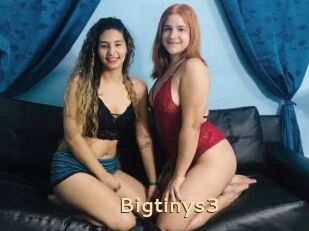 Bigtinys3