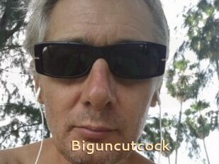 Biguncutcock