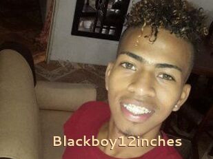 Blackboy12inches