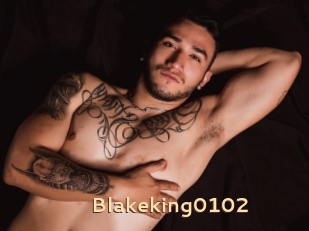 Blakeking0102