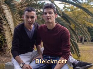 Bleicknort