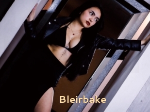 Bleirbake