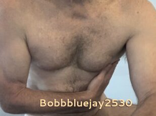 Bobbbluejay2530