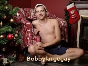 Bobbylargegay