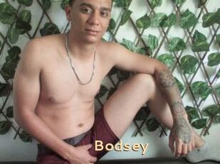 Bodsey