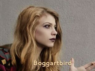 Boggartbird