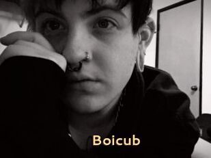 Boicub