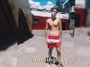 Borningboy