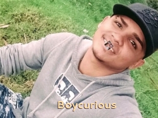 Boycurious