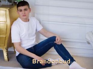 Brandonbud