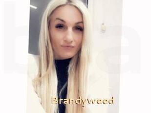 Brandyweed