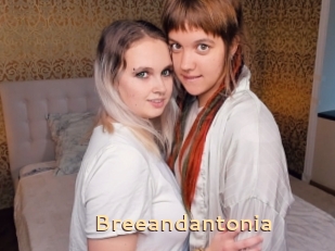 Breeandantonia