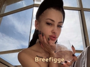 Breefigge