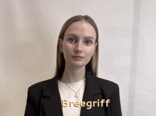 Breegriff