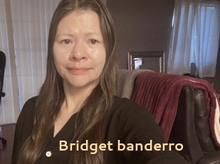 Bridget_banderro