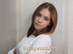 Bridgetatkins