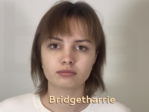 Bridgetharrie