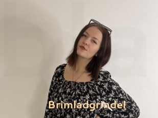 Brimladgrindel