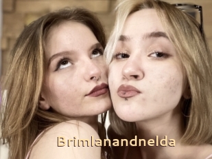 Brimlanandnelda