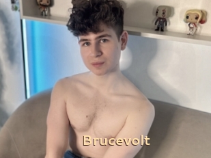 Brucevolt