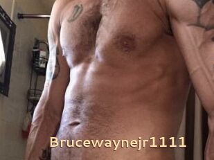 Brucewaynejr1111