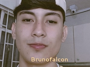 Brunofalcon