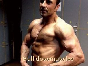 Bull_dosemuscles