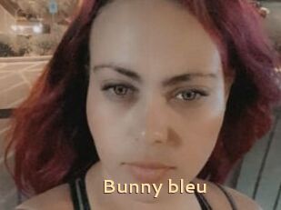 Bunny_bleu