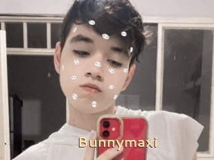 Bunnymaxi