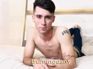 Burningdany