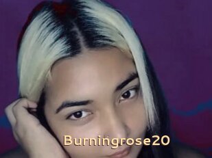 Burningrose20