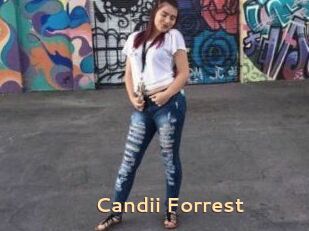 Candii_Forrest