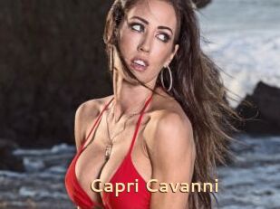 Capri_Cavanni