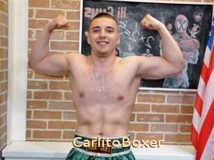 CarlitoBoxer