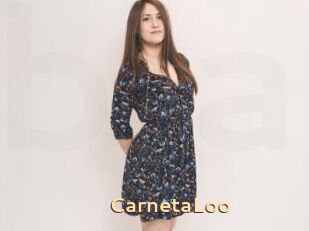 CarnetaLoo