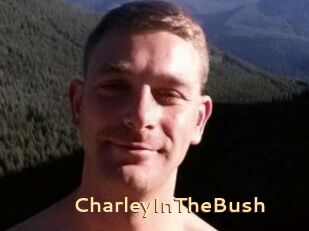 CharleyInTheBush