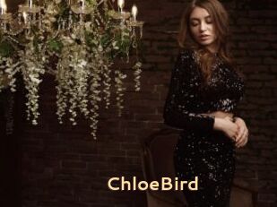 ChloeBird